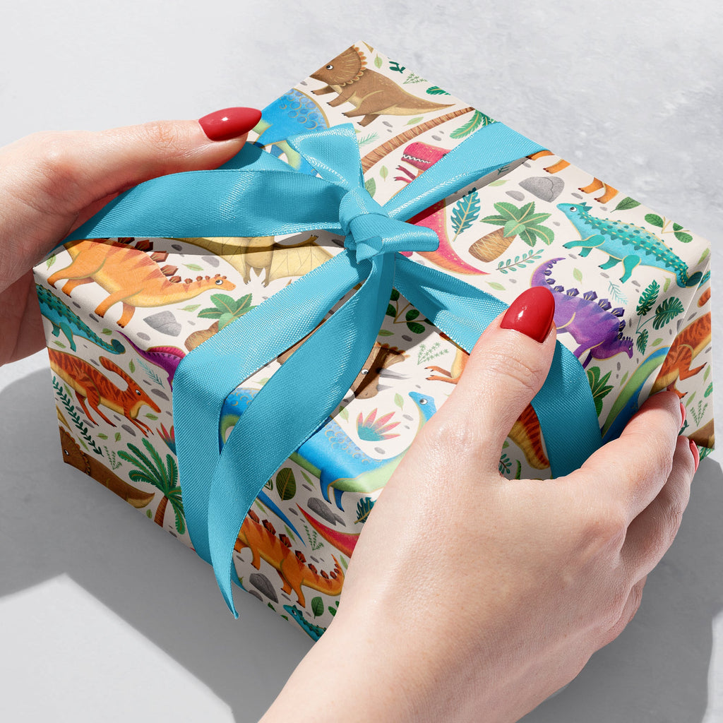Dinosaurs Kid's Gift Wrapping Paper Gift Box 
