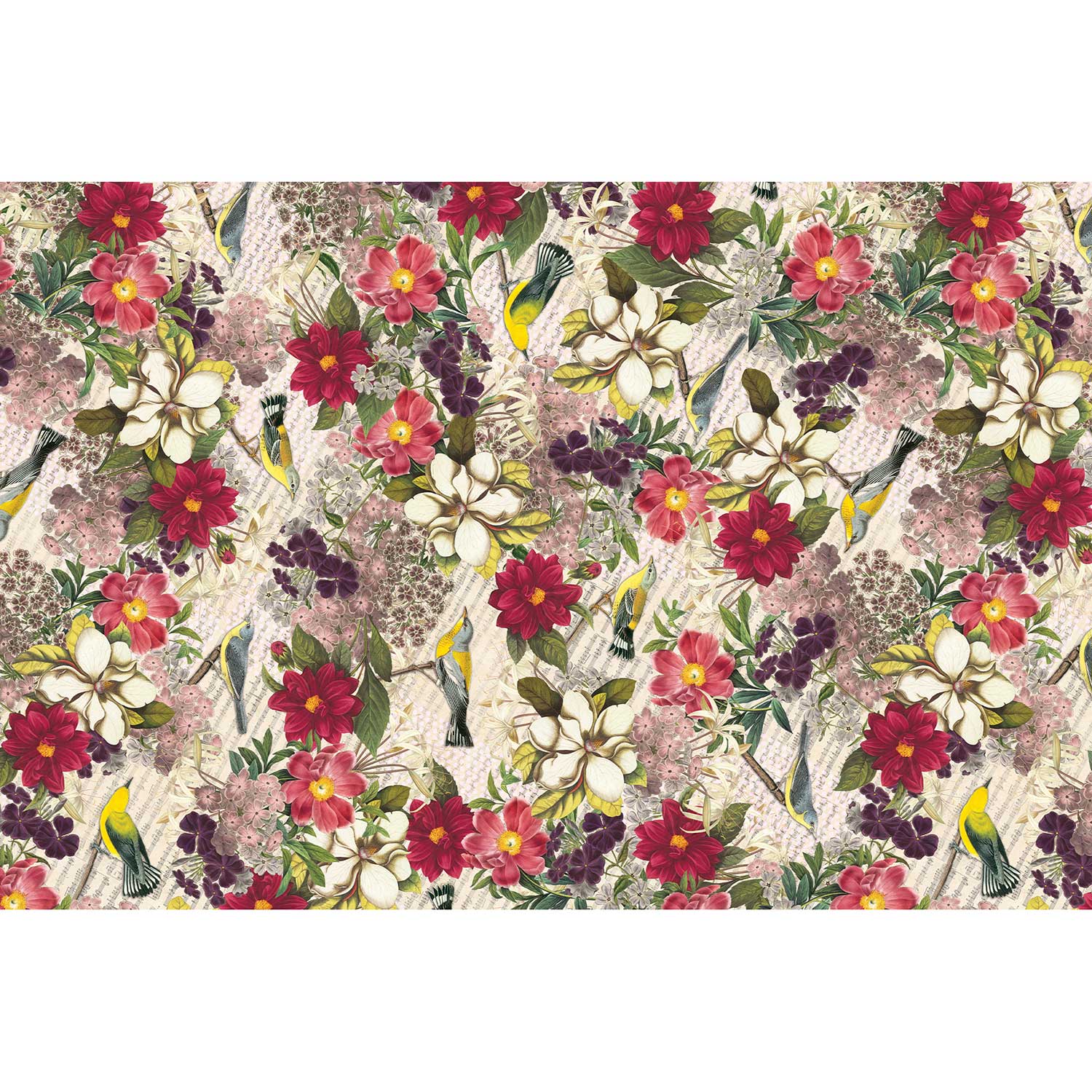 Magnolia 20 x 30 Floral Gift Tissue Paper, 48 Folded Sheets