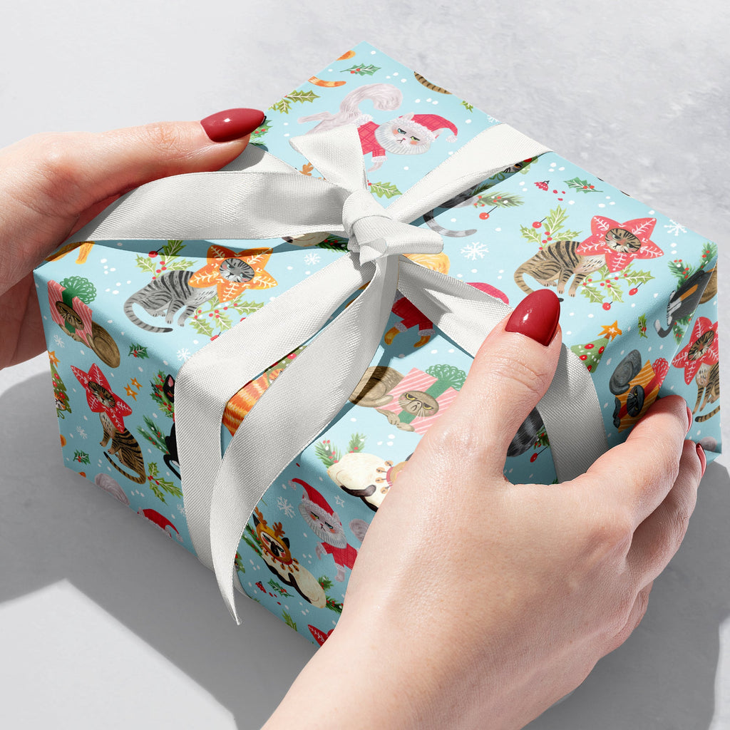 XB501b Naughty Cats Christmas Gift Wrap Gift Box 
