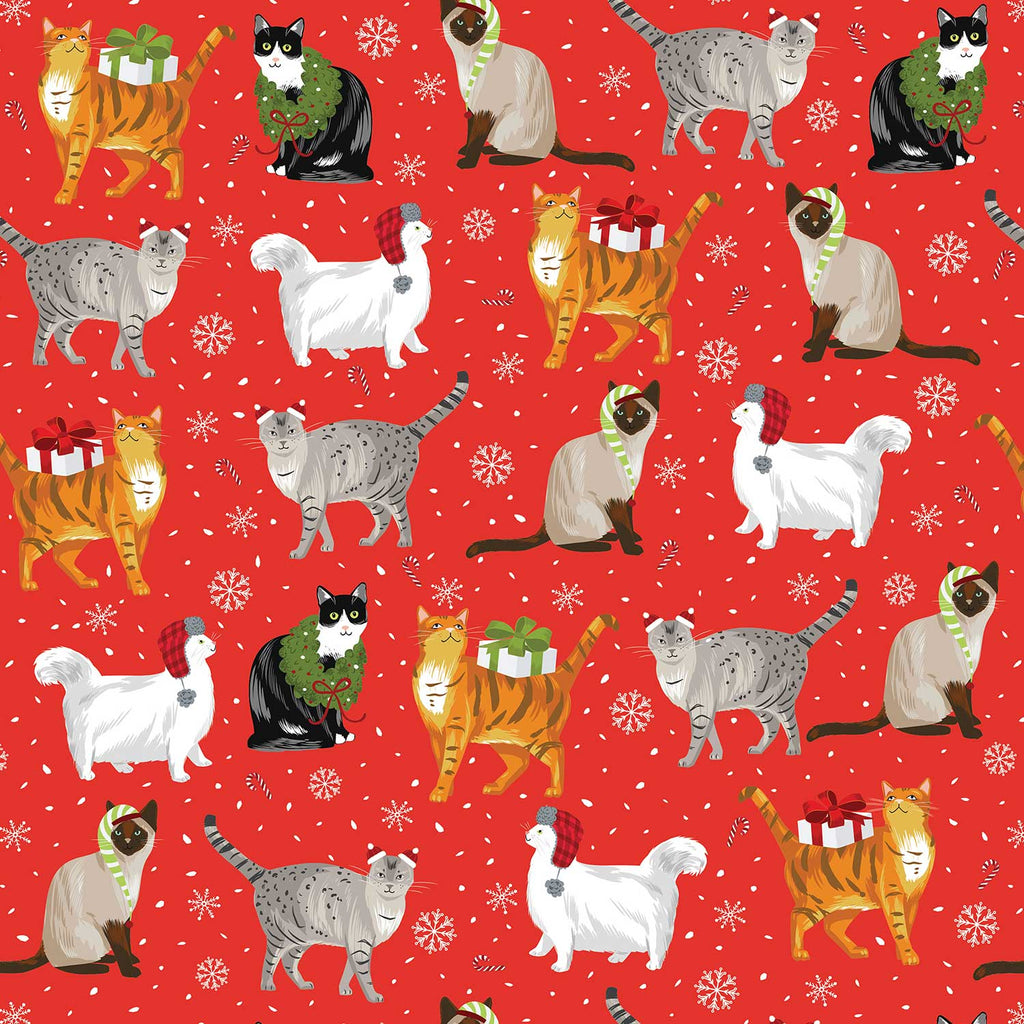 XB743a Christmas Cats Gift Wrapping Paper Swatch 