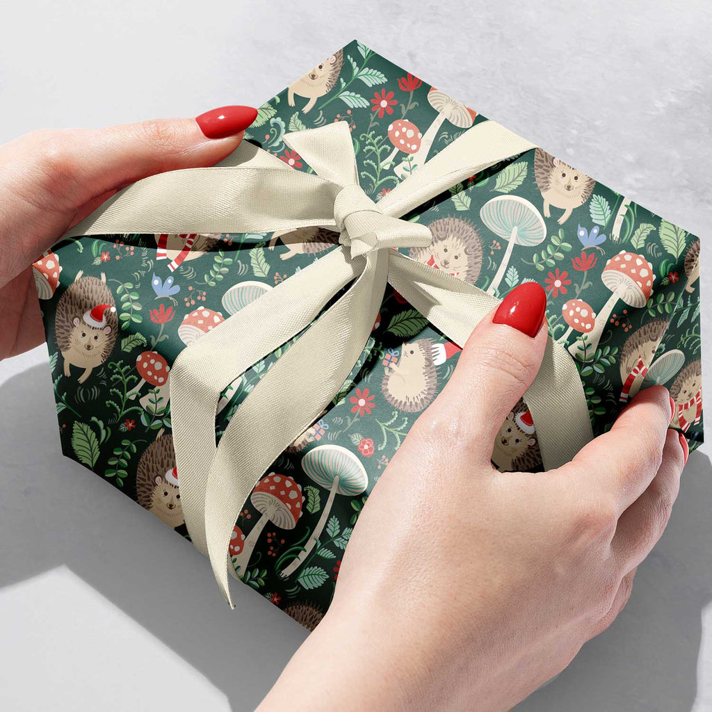 XB824b Hedgehog Christmas Wrapping Paper Gift Box 